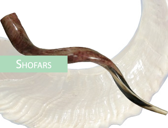 Shofars